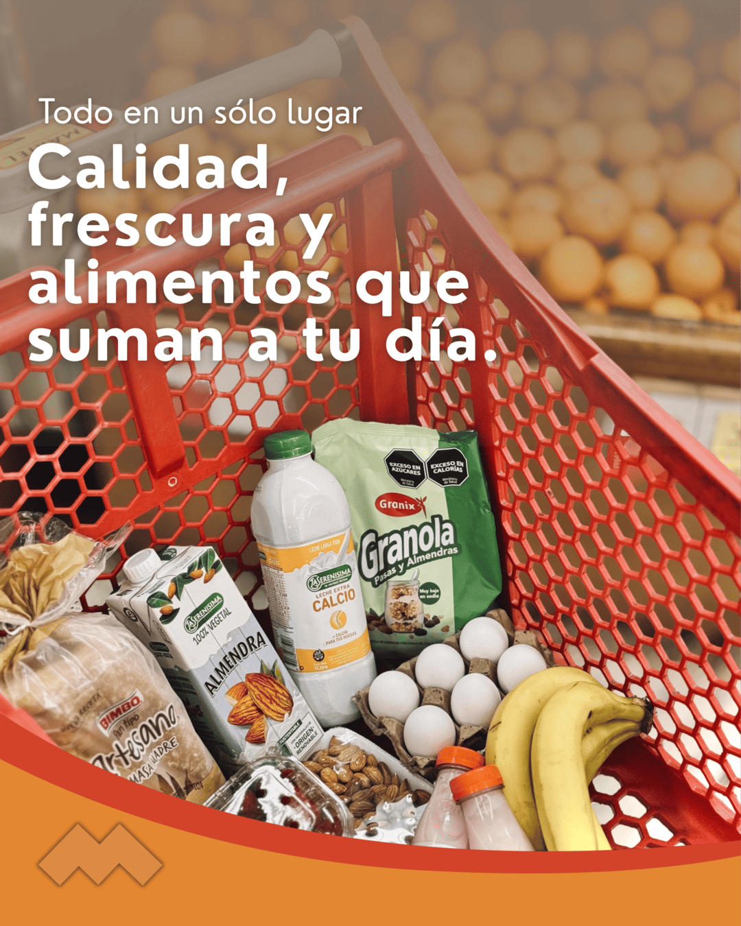 Proyecto Rapport Servicios
